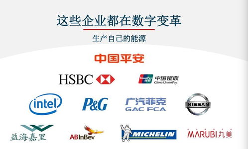 對標Adobe，Nequal如何以數據與技術雙引擎賦能企業智慧商業